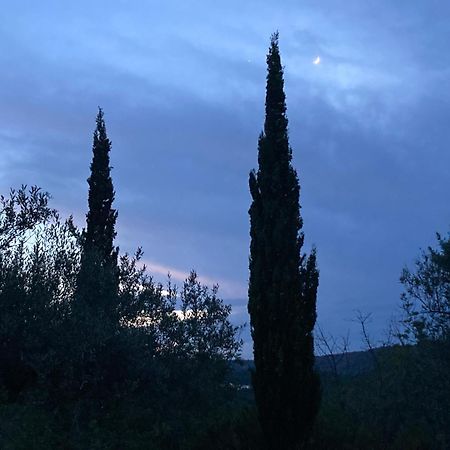 Benissiva Casa Gallinera المظهر الخارجي الصورة