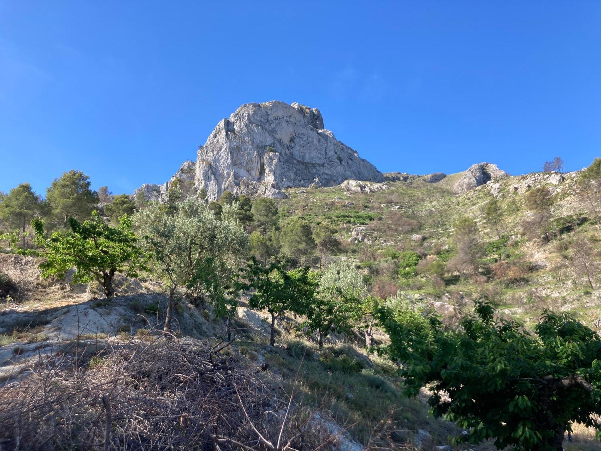 Benissiva Casa Gallinera المظهر الخارجي الصورة