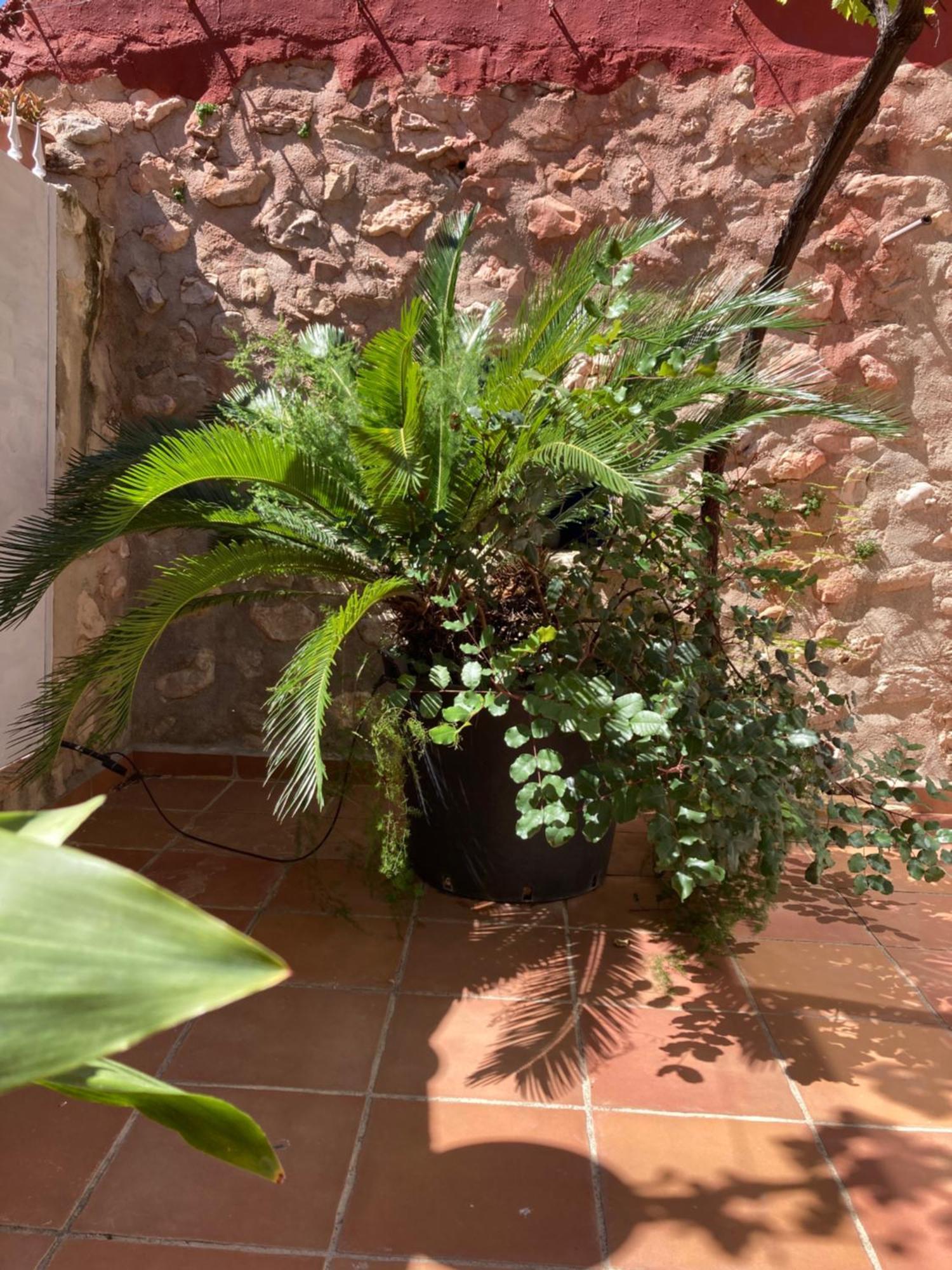Benissiva Casa Gallinera المظهر الخارجي الصورة